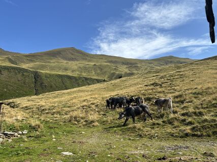 Almwanderung Sölk