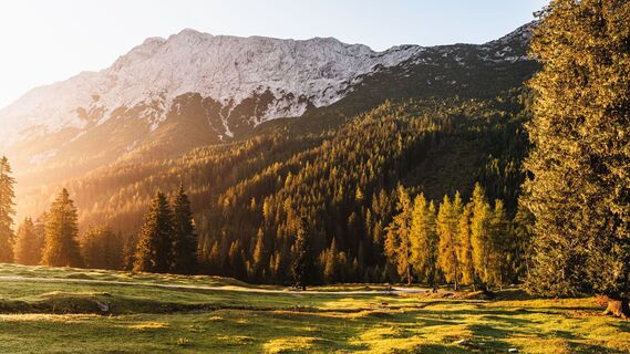 Wiese bei der Gaistalalm