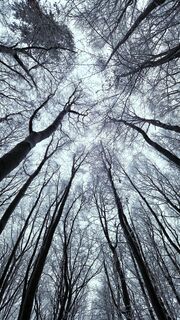 Photo de Elisabeth Rossa le long du parcours