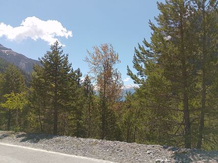 Foto von Jean-Pierre Sion entlang der Tour