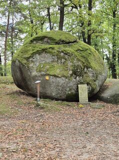 Fotografija s spletne strani Ronald 4 na poti