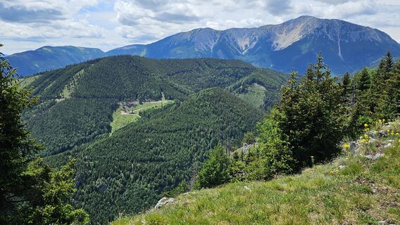 Photo de FritzB le long du parcours