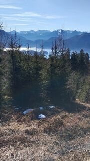 Photo de Pur Alexander le long du parcours