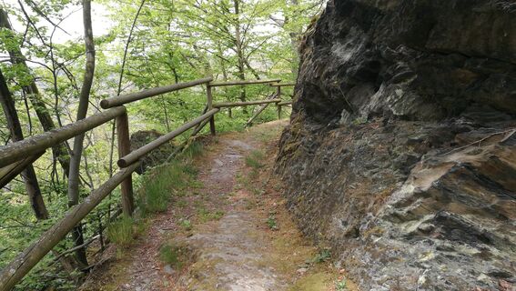 Entlang des Hinteren Röhrensteiges bei Burgk