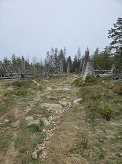 Photo de Martina Gerneck le long du parcours