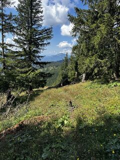 Foto von helpstring entlang der Tour