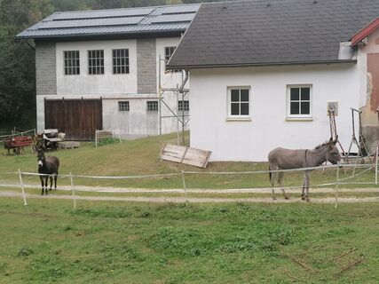 Photo from Dragoljub Ilic along the tour