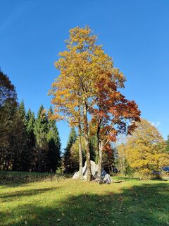 Photo from Uwe Fischer 5 along the tour