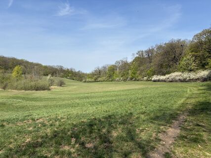 Photo de Martin1967 le long du parcours