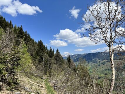 Foto von Kerstin Albrecht entlang der Tour
