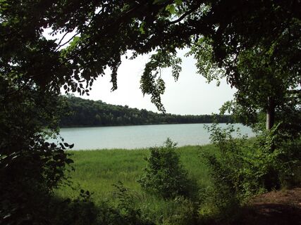 Zemljevid