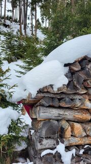 Photo de Ursula Schmid le long du parcours