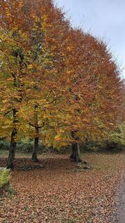 Foto von Andrea Inserra entlang der Tour