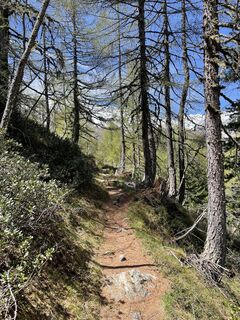 Foto von Lisa Amann entlang der Tour