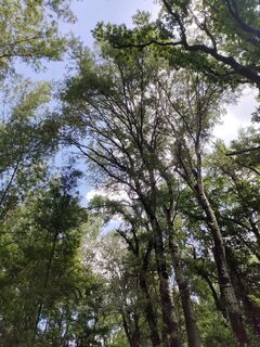 Foto de Annamária Bánki a lo largo del recorrido