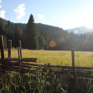 Herrlicher Sommerabend in der Isel
