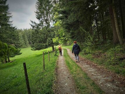 Am Lärchsattel_Naturpark Almenland_Oststeiermark