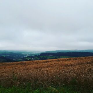 Samstag, 12. August 2017 17:38:56