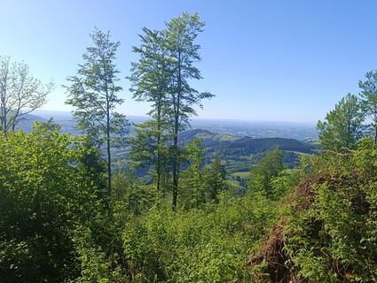 Photo de Meli le long du parcours