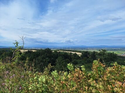 Fotografija s spletne strani Marion Masilko na poti