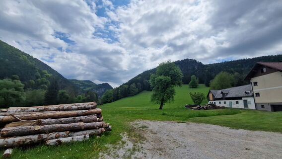 Foto von EP87 entlang der Tour
