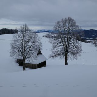 Winterwanderung Guggisberg