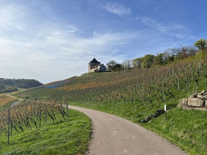 Foto von Sabine Dietzel entlang der Tour