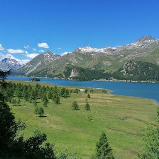 Blick auf Isola