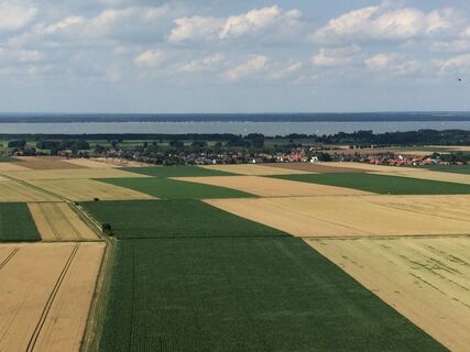 Blick aufs Steinhuder Meer