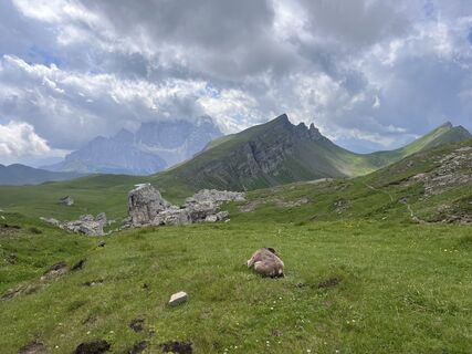 Foto von Tjasa Strehar entlang der Tour