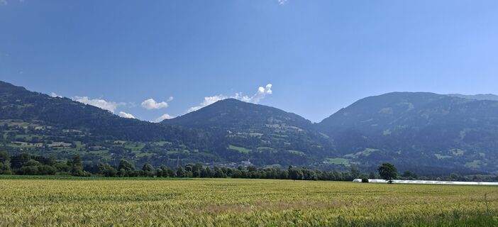 Foto von Mangolein entlang der Tour