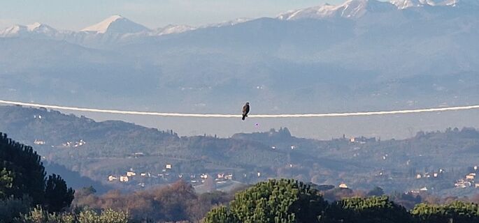 Fotografie z Renato Borgonetti na trase