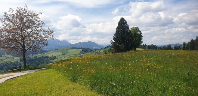 Foto von Hans-Rudolf Held entlang der Tour