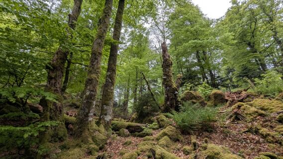 Photo de Richard Schwald le long du parcours