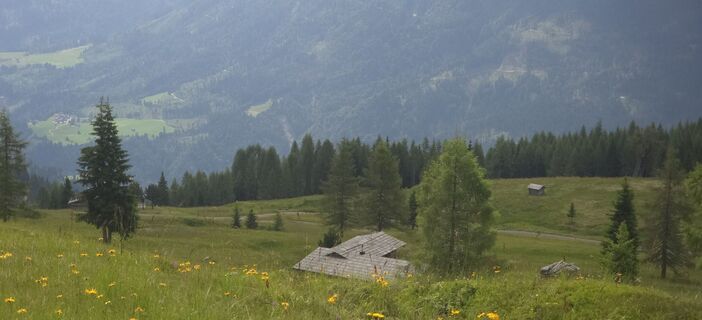 Photo de Windga le long du parcours