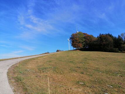 Foto von Christina Turnwald entlang der Tour