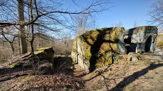 Fotografia z Alexander S na trase