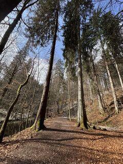 Fotografija s spletne strani Denise Miller na poti