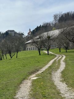 Fotografie z Thomas Steinbichler na trase