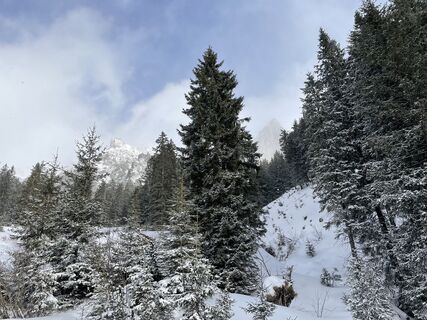 Foto von Willi Schüller entlang der Tour
