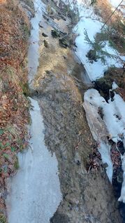 Fotografija s spletne strani Karin Svozil na poti