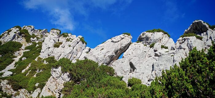 Fotografia z ReginaSt na trase