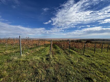 Foto da Robert.Unterlercher lungo il tour