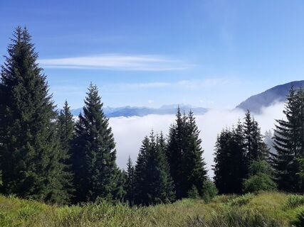 zwischen Ederalm und Salzburgerhütte