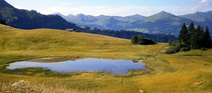 Stelsersee