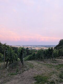 Photo de thmetzlee le long du parcours