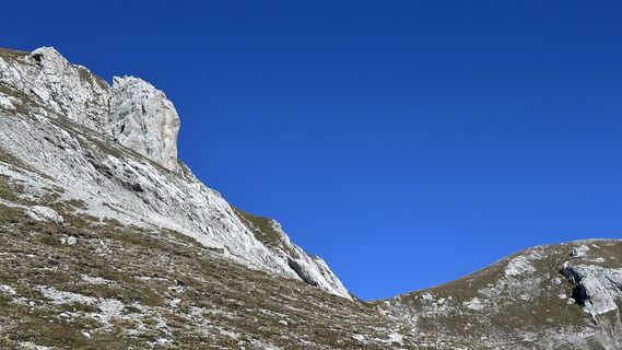 Foto de Mountain Cat ? ⛰️ a lo largo del recorrido