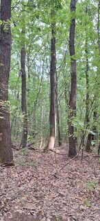 Fotografia z Beata Beartitude na trase