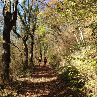 Wanderweg auf den Grand Colombier ab Culoz