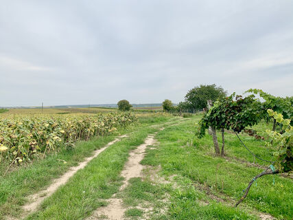 Wunderbergtour, Auersthal